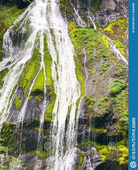 Nature Moss With Beauty Waterfalls Stock Photo Image Of Moss Mini