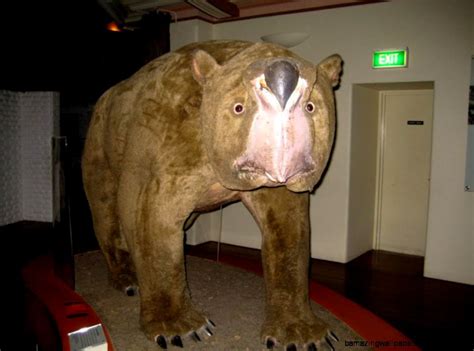 Cute Extinct Animals | Amazing Wallpapers