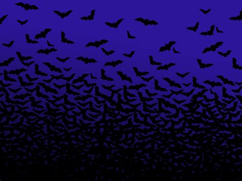 Bats Are Good Halloween Wallpaper 526588 Fanpop