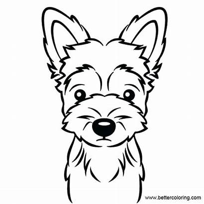 Yorkie Coloring Pages Printable Clipart Adults Poo