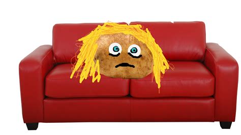Couch Potato A Fools Paradise