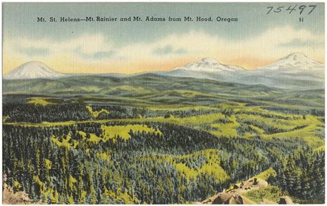 Mt St Helens Mt Rainier And Mt Adams From Mt Hood Oregon