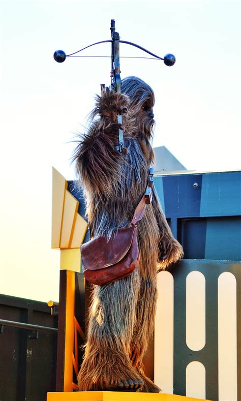 Wookie Walt Disney World Hollywood Studios Chewbacca Sta Flickr