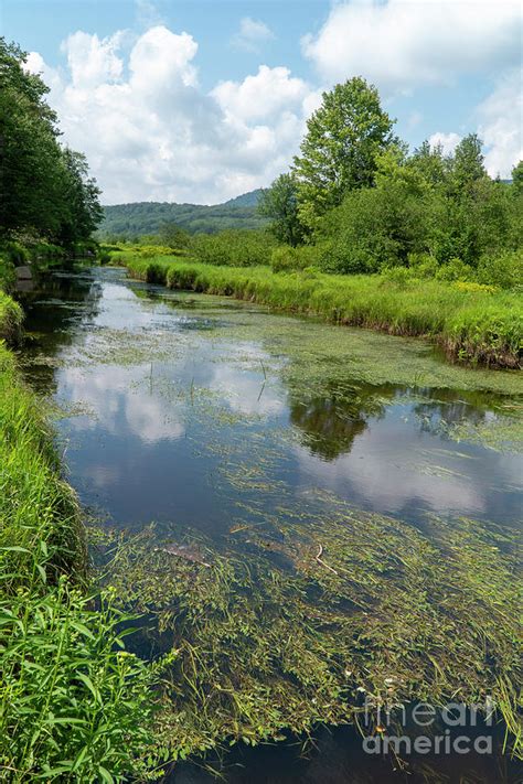 The Blackwater River Meanders Through Wetlands At Canaan Valley