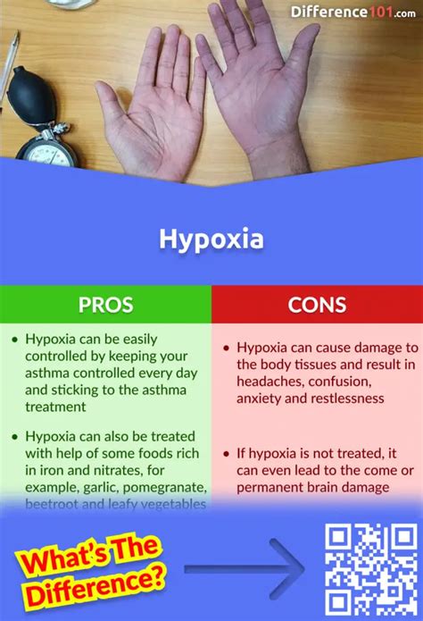 Hypoxia Vs Hypoxemia 5 Key Differences Pros Cons Similarities