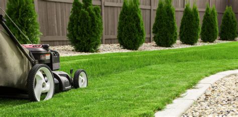 Lawn Care Tips For Beginners — Everydaygardenideas