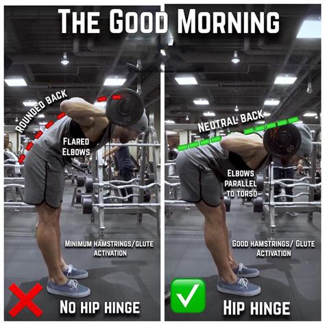How To Good Mornings Proper Form Exercise Videos And Guides
