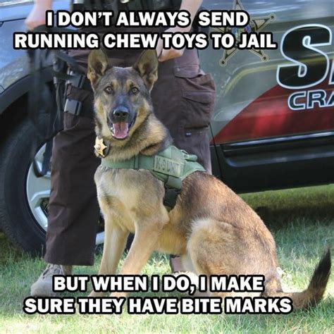 Pin By Michele On K 9 Dogs Police Humor Military Dogs