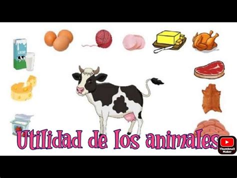 Los Animales Que Nos Dan Alimentos Y Sus Derivados 2023