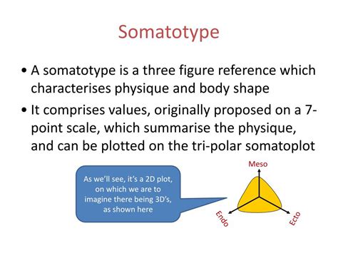 Ppt Your Somatotypes Powerpoint Presentation Free Download Id1088199