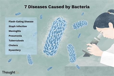 Bacterias Que Causan Enfermedades