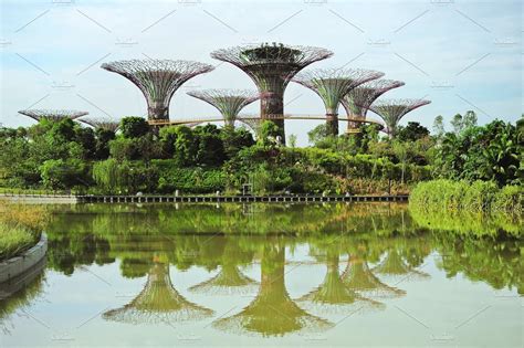 Gardens By The Bay Singapore Architecture Photos Creative Market