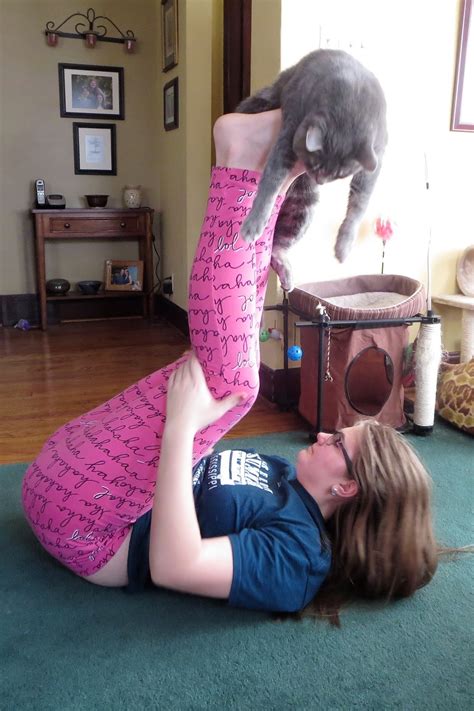 That S Life Cat Gymnastics
