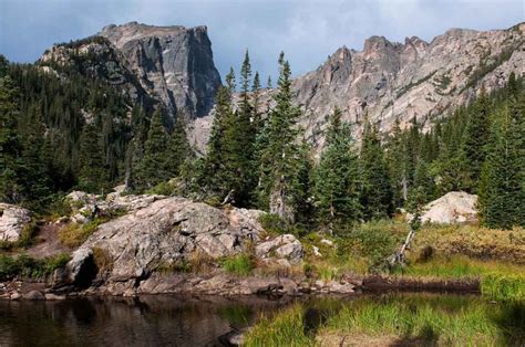 Sightsee Rmnp Summer Full Day Colorado Wilderness Rides And Guides