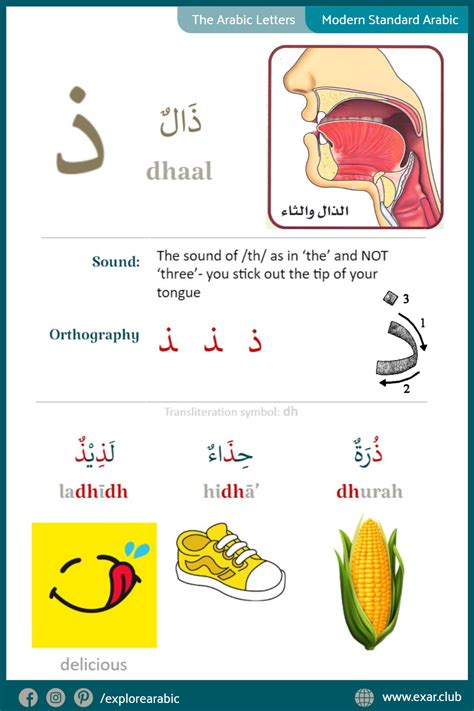 Dhaal ذ Learn Arabic Alphabet Arabic Alphabet Learning Arabic