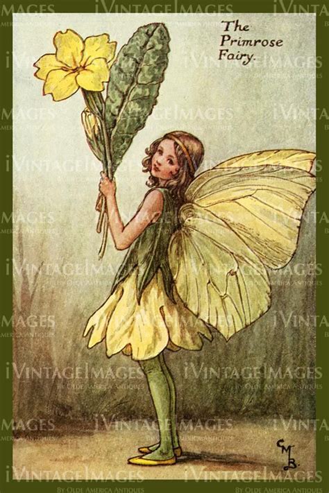 Cicely Barker 1923 26 The Primrose Fairy Nature Art Prints Fairy