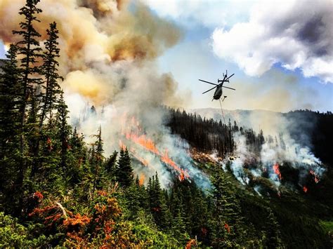Wildfires In Canada 100 Helicopters Fighting Fires In Bc As