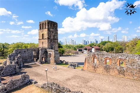 Panamá Viejo Un Paseo Por La Historia De La Ciudad Seis Horas Menos