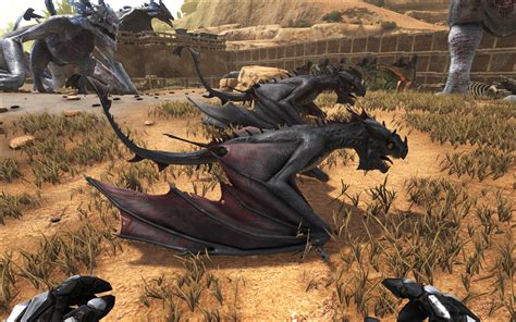 Black Fire Wyverns General Discussion Ark Official