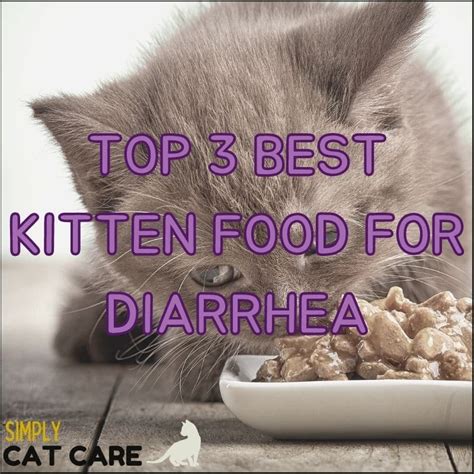 5 Best Cat Food For Cats With Diarrhea 2022 Simply Cat Care