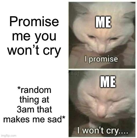 i promise i won t cry imgflip