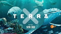 Oceane Terra X Heute 19:30 ZDF - YouTube