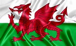 Welsh flag silk - Castell Howell