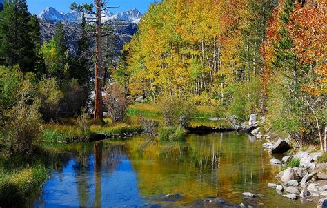 Wallpaper Autumn Forest The Sky Trees Mountains River Stones