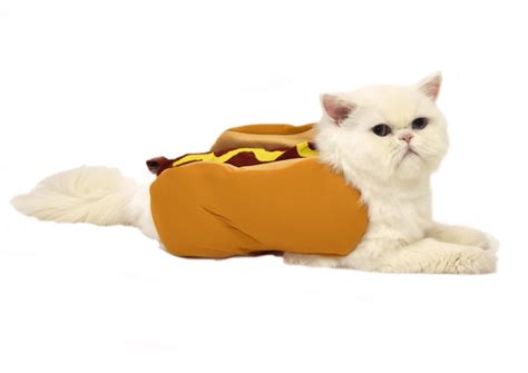 Hot Dog Cat Costume Pet Costume Center