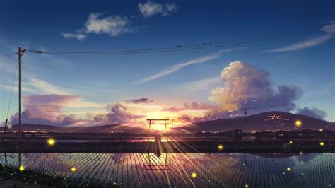 Sunrise Anime Scenery Paddy Field Farm 4k Phone Hd Wa