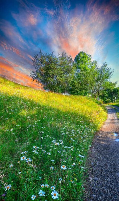 Majestic Countryside Landscape With Forested Hills And Grassy Meadows