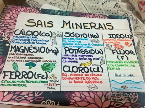 Mapa Mental Sobre Sais Minerais Study Maps