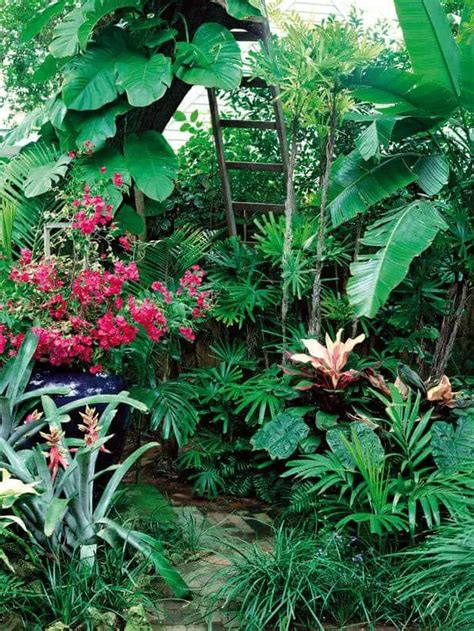 How To Make A Tropical Garden Design 1001 Gardens