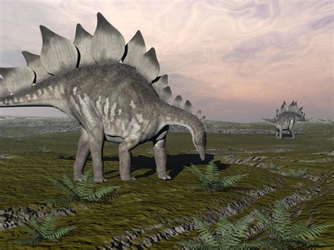ステゴサウルスについて本当にどれだけ知っていますか？