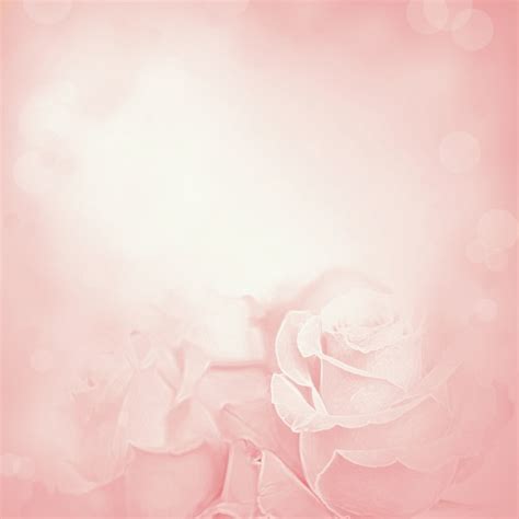 Fundo Rosa Com Flores Rosas Foto Premium