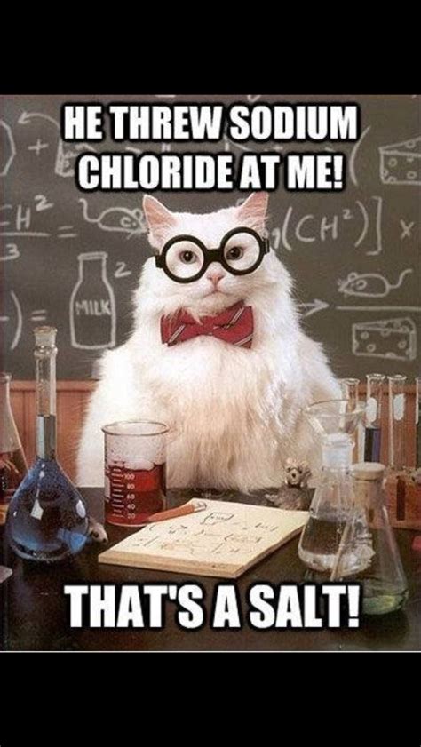 Science Cat Science Puns Science Teacher Chemistry Teacher