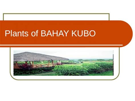 Ppt Plants Of Bahay Kubo Dokumentips