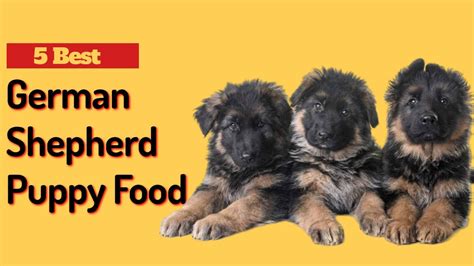5 Best Dog Food For German Shepherd Puppy German Shepherd Puppy Food