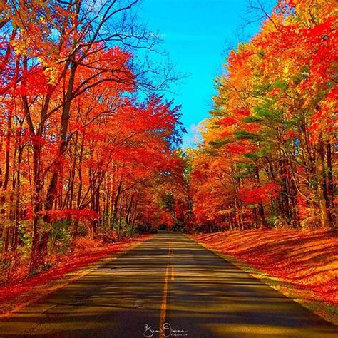The Magic Of Autumn In Virginia It Is Fabulous To Drive In Between The