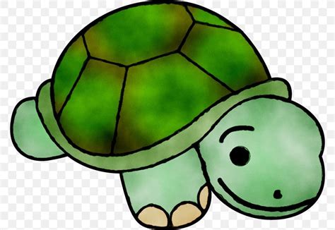 Clip Art Turtle Free Content Image Png 772x565px Turtle Blog Box