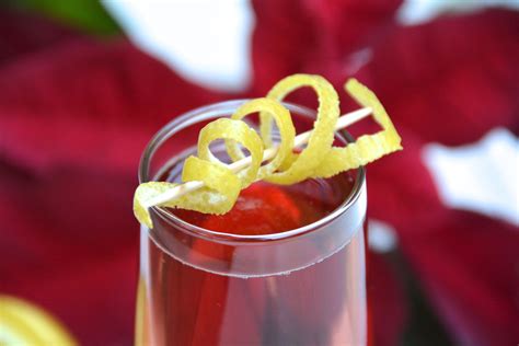 Here's a simple way to spread some holiday cheer: Christmas Festive Drinks With Champagne - Blueberry Bubbly ...
