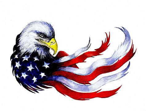 Patriotic Eagle Painting By Andrew Read