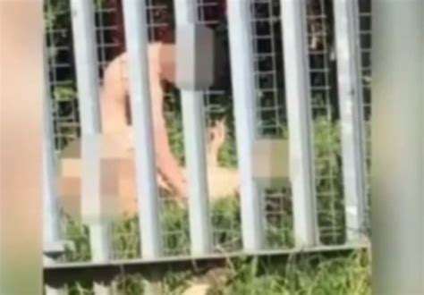 Caught On Camera Man Films Naked Couple Having Wild Sex