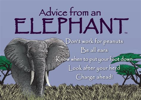 Advice From An Elephant Elephant Quotes Elephant Advice