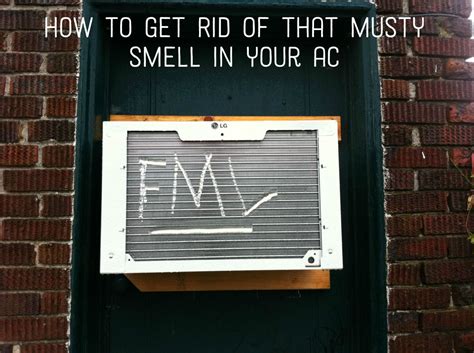 How To Remove A Mildew Smell From A Window Air Conditioner Mildew