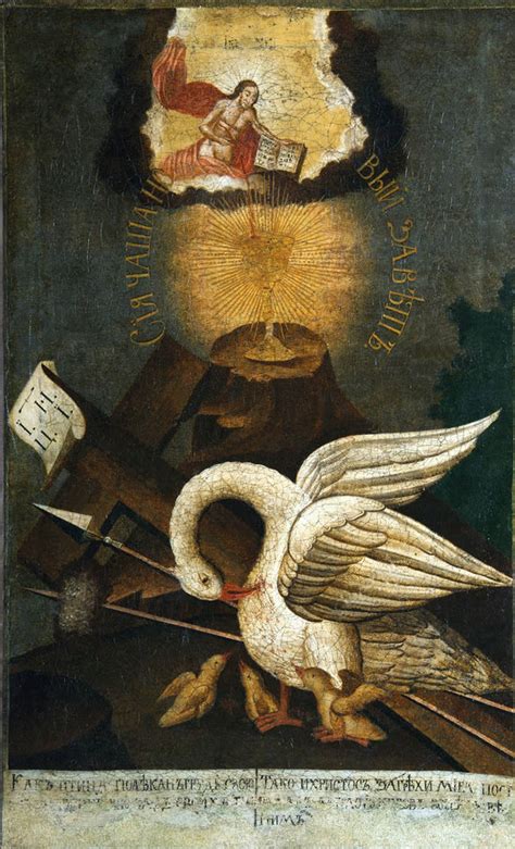 The Catholic Talks Article Why The Pelican Is A Symbol Of Christ