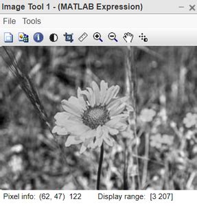 How To Convert Three Channels Of Colored Image Into Grayscale Image In
