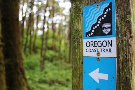 3 Easy Hikes Near Florence Oregon Jetsetting Fools