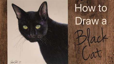 Cat Drawing Tutorial With Colored Pencils By Artist
