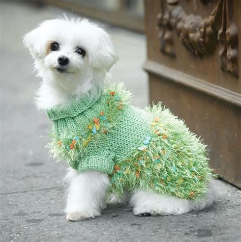 Over 6000 Free Patterns On Knitting Patterns For Dogs